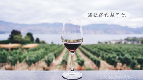 2018年葡萄酒排行榜，2018年葡萄酒销售数据-图1